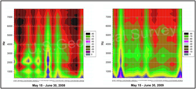 Fig. 12d. Soundscapes produced from acoustic data we collected with digital sound recorders (http://www.wildlifeacoustics.com/index.php) at site SC4DBI2 in the St. Croix National Scenic Riverway in 2008 (left) and 2009 (right). Graphs depict mean decibel levels (colored contours) plotted against frequency range (y axis) and day (x axis) for site SC4DBI2 from May 15-June 30. The colored contours represent sounds made by amphibians and birds primarily. The reduced calling activity and sound intensity in 2009 were associated with reduced water present in the wetland and the surrounding landscape (Fig. 10a, b, c). Eastern and Cope’s gray treefrogs and green frogs, for example, called less at SC4DBI2 during this time period in 2009 compared to 2008.