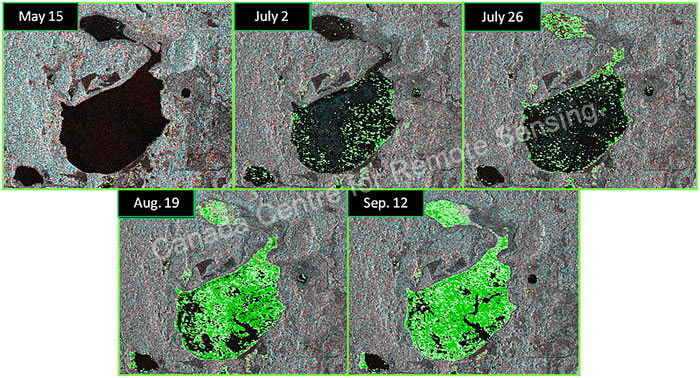 Fig. 13. Preliminary results from analyses of radar data from the Canadian satellite, Radarsat-2, showing the extent of surface water and growth of aquatic vegetation for wetlands in a portion of the Tamarac National Wildlife Refuge (MN) in 2009. Radarsat-2 can collect data regardless of cloud cover or darkness. Courtesy of the Canada Centre for Remote Sensing (http://www.ccrs.nrcan.gc.ca/index_e.php).
