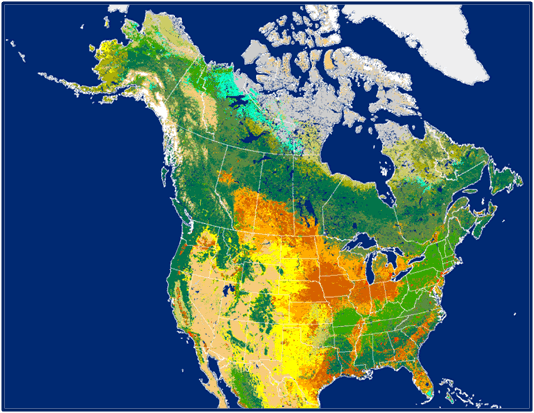 Fig. 4. Land cover generated from data from the North America Land Cover Characteristics Data Base, Version 2.0