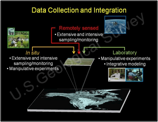 Fig. 7. The integrated approach used in the Terrestrial Wetland Global Change Research Network.