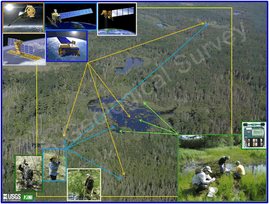 Fig. 8. Coupling remotely sensed data with data collected on the ground enables network scientists to measure linkages between biotic and abiotic variables across scales