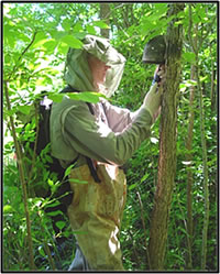 Installing an air-temperature logger. Courtesy of the U.S. Geological Survey.