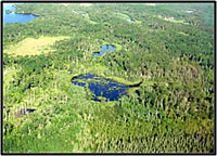 A landscape matrix of interconnected wetlands and uplands in northern Minnesota. Courtesy of the U.S. Geological Survey.