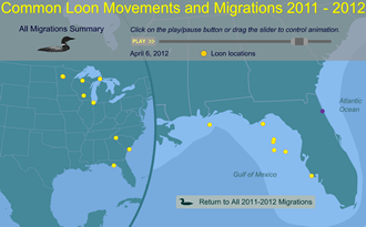 loons 2011 Apr 6