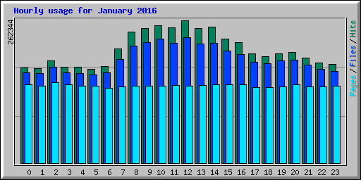 Hourly usage for January 2016