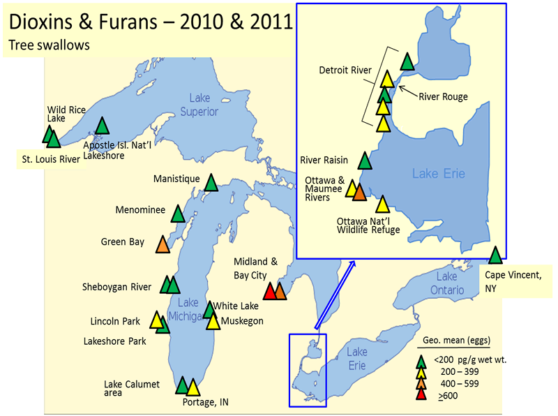 Dioxins/furans: Tree swallows