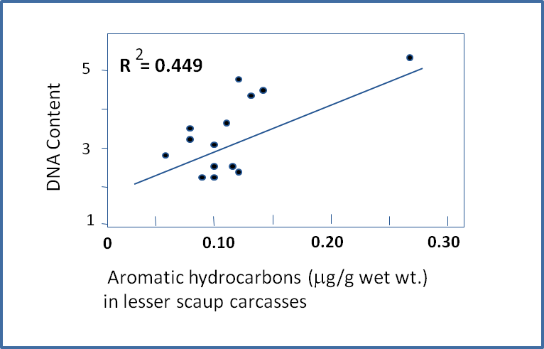 Aromatic hydrocarbons in lesser scaup carcasses 