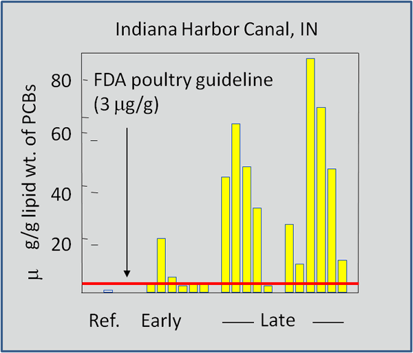 Aromatic hydrocarbons in lesser scaup carcasses 