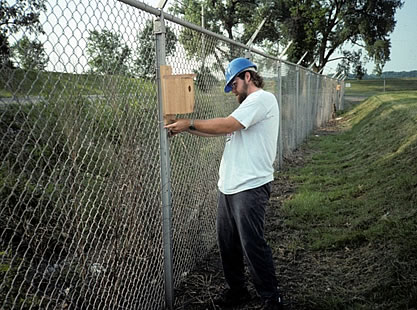 Contaminant exposure of tree swallows in the Quad Cities area (Pool 15 of the Mississippi River) 