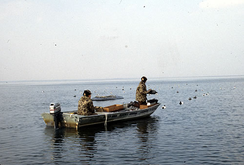 Trace element exposure in lesser scaup 