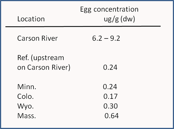 Carson River: Mercury concentrations in tree swallow eggs graph