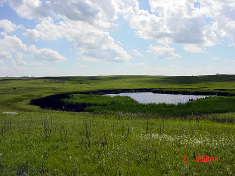 Lostwood National Wildlife Refuge