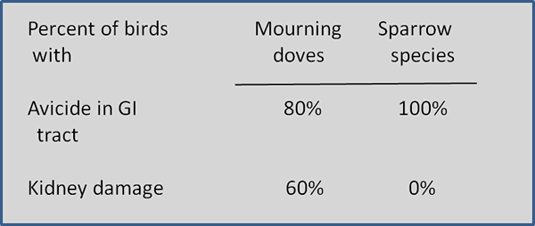 Percent of birds with Avicide