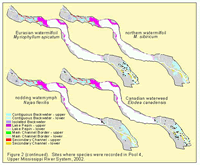 Sites where species were recorded in Pool 4