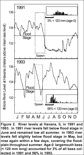 Figure 2. River levels at Havana, IL in 1991 and 1993.